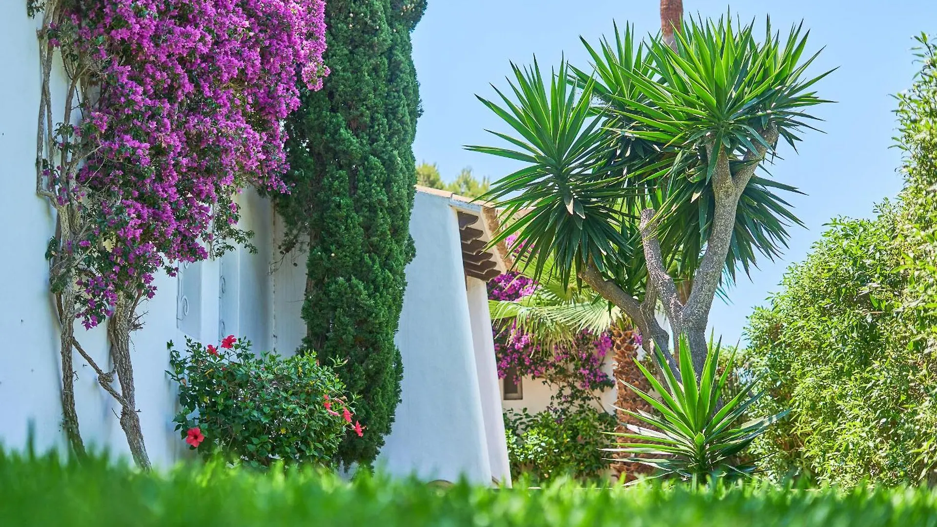 Acebuche Villa Cala d'Or  Spain